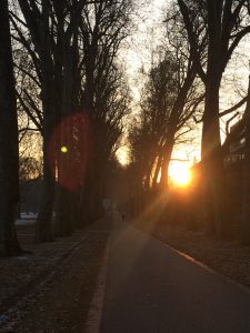 Schlosspark im Januar