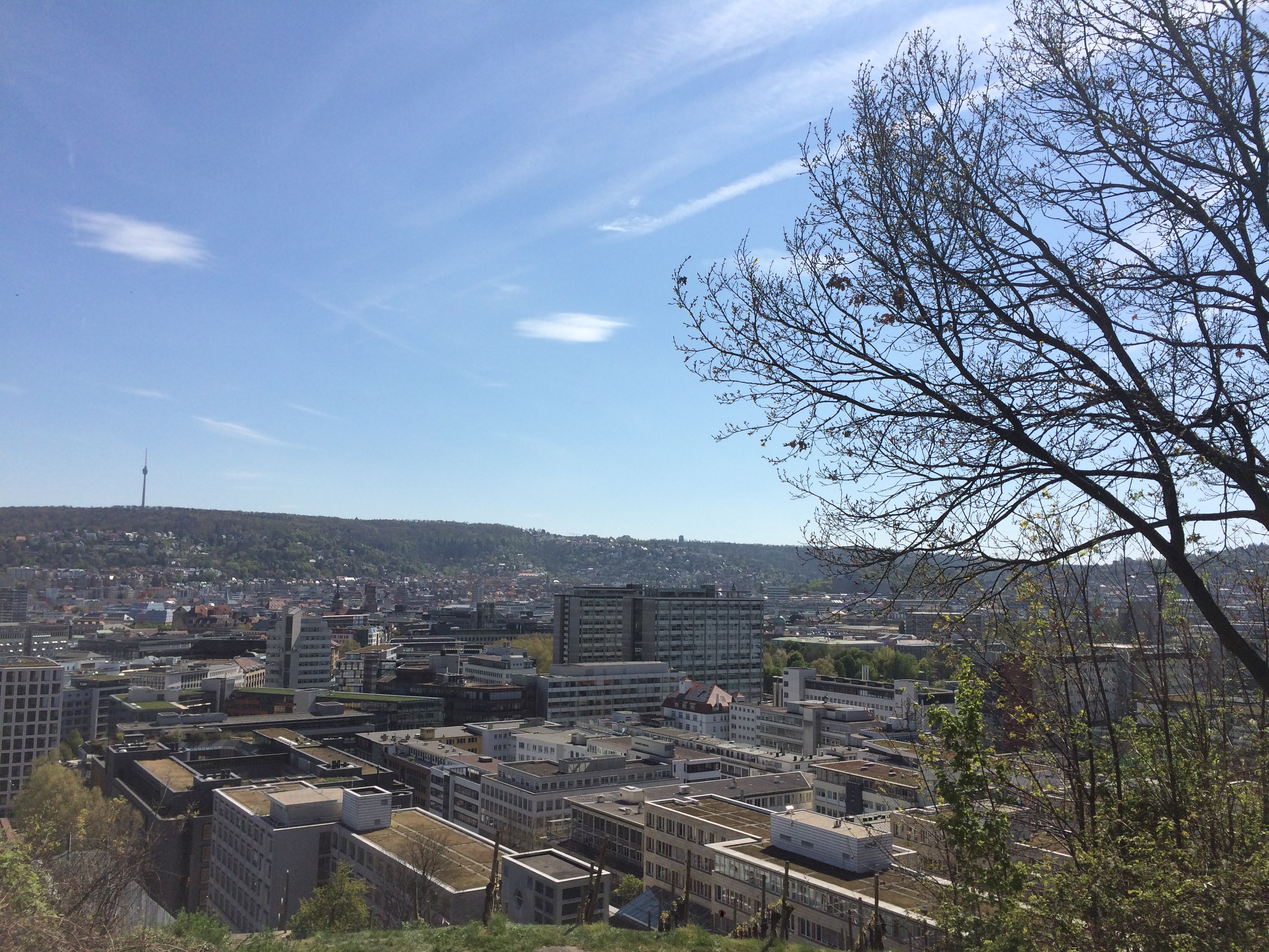 Stuttgart Aussichtspunkte Chinesischer Garten 