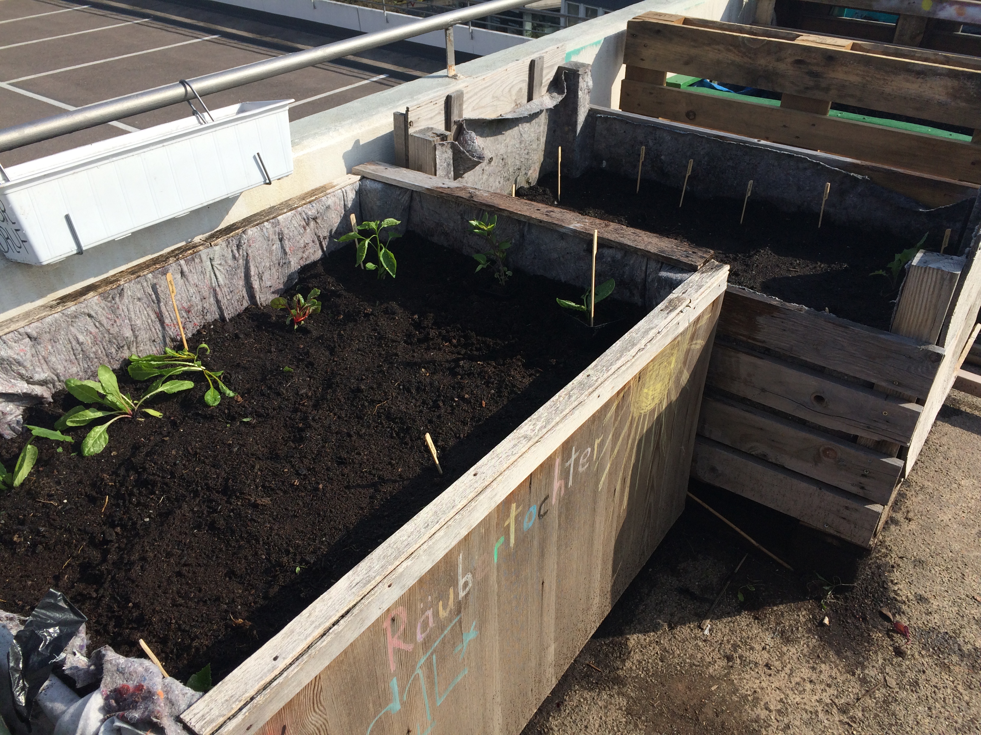 Urban Gardening Stuttgart Züblin Ebene 0