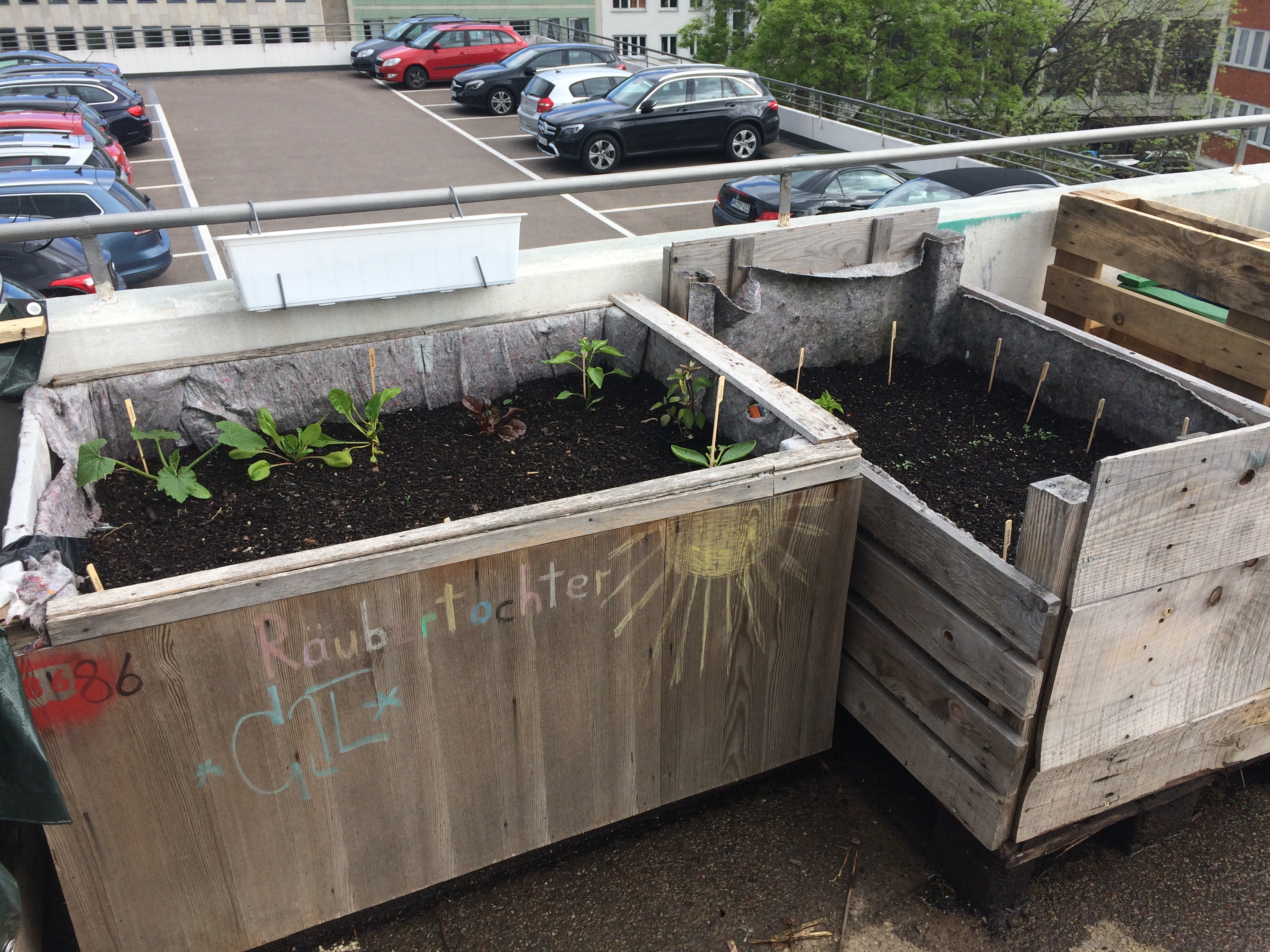 Urban Gardening Stuttgart Züblin Ebene 0